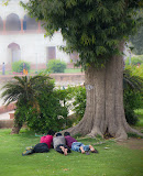 IMG_7434.jpg
