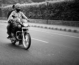 IMG_7800.jpg