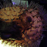 Adventure Education Marine Museum