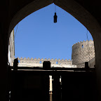  Shiraz