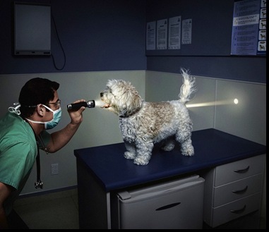 full checkup