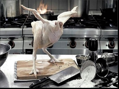 optimistic chicken