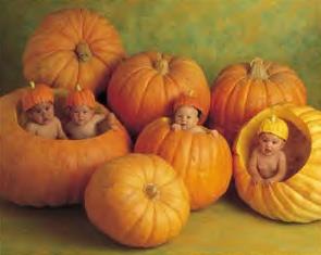 [anne_geddes_babies_in_pumpkins5.jpg]