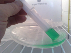 Figure 3 - Ice Melt Test for Liquids