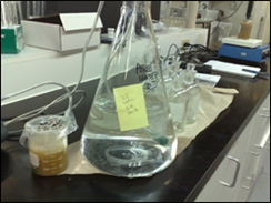 Figure 14 - Polytox Test Setup