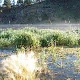 Cub Scout Resident Camp 2007