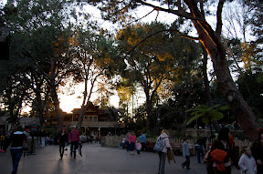 DSC_0151.5MZVrcjx62kn.jpg