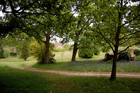 DSC_0242.vZTAWNXllSmr.jpg