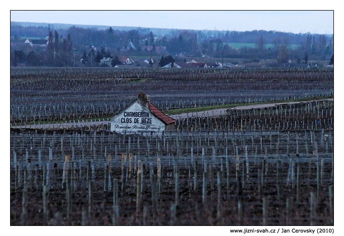 [chambertin_damoy[5].jpg]