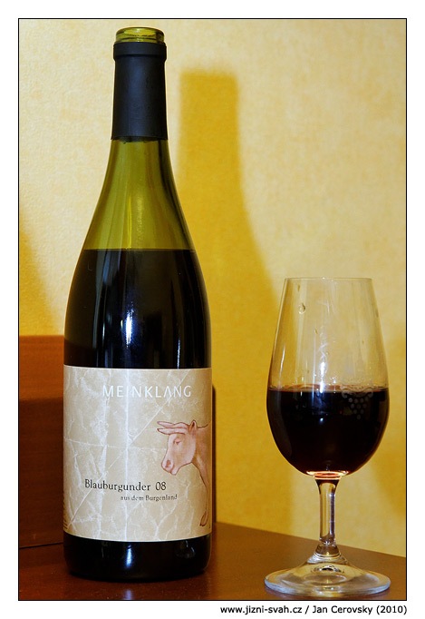 [meinklang_blauburgunder_2008[3].jpg]