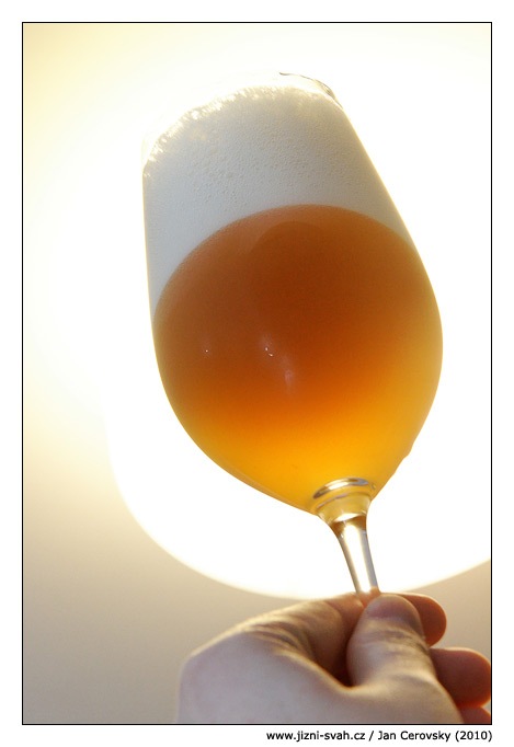 [pivo_xaint[3].jpg]