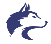 washington huskies logo pantone