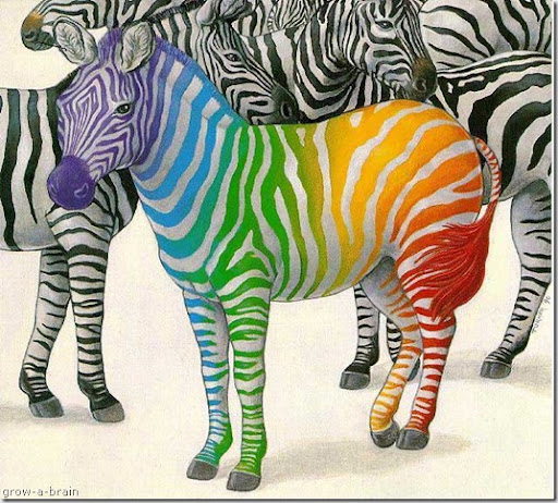 And fake zebras can come in any colour even multicoloured zebra print