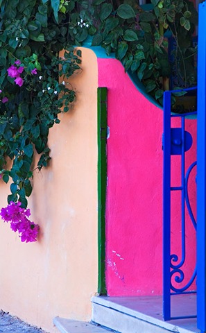 [pink blue entry pbase[3].jpg]