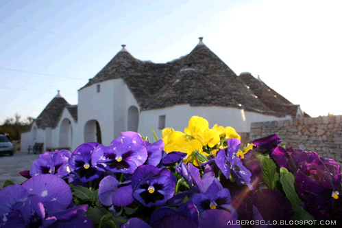 [trullo pansies[10].png]
