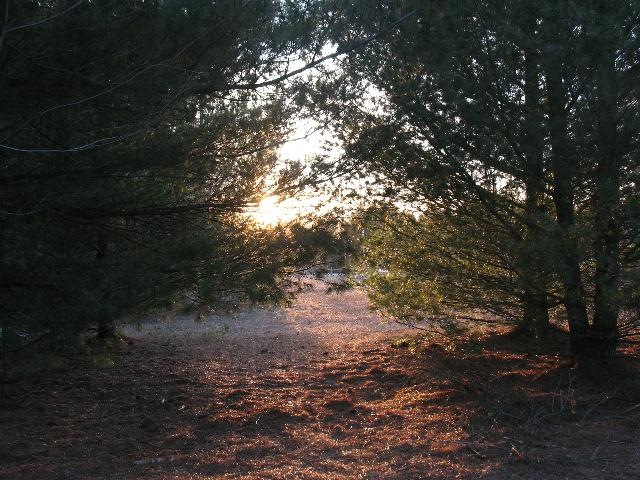 [sunset[7].jpg]