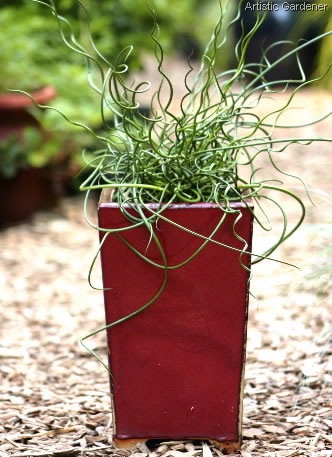 [artistic gardener[3].jpg]