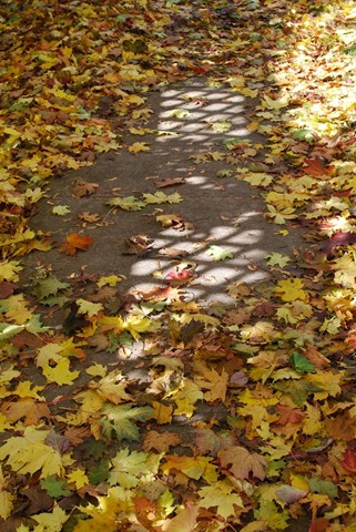 [RS sidewalk[3].jpg]