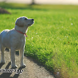 200711 affordable-4.jpg
