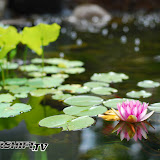 200706 brdesign-13.jpg