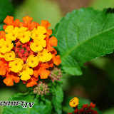 200707 brdesign-8.jpg