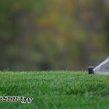 200711 affordable-17.jpg