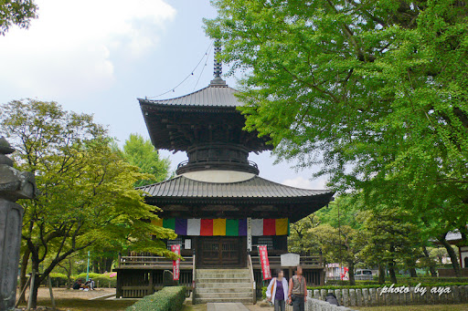 多宝塔