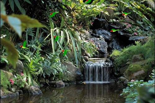 70e413c3ac13b236572f16d8f454a5e4_Living_Waterfalls 70e413c3ac13b236572f16d8f454a5e4_Living_Waterfalls
