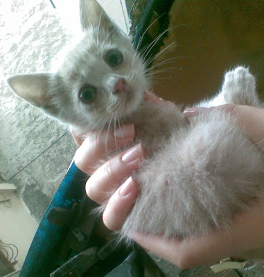 Качена снимка