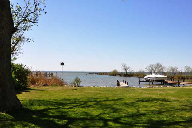 [04 10 10_2585[3].jpg]