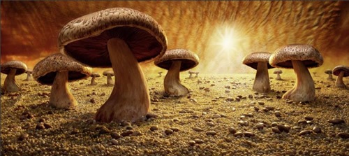 [07[4].jpg]