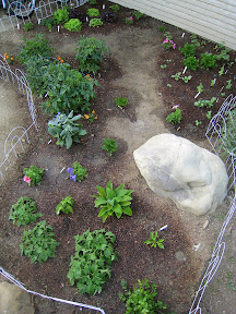 The garden on April 21