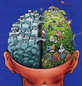 [Brainsides8.jpg]