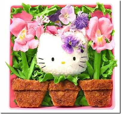 Hello Kitty 17