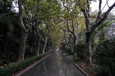 DSC_1655