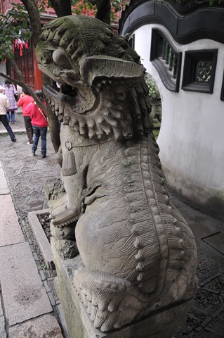 [DSC_17444.jpg]