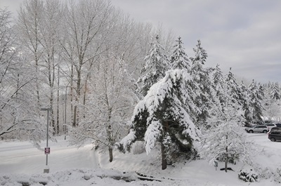 DSC_3208