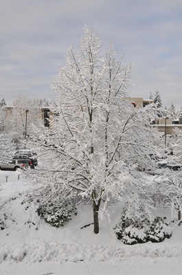 DSC_3205