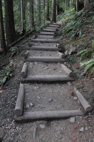 [DSC_3695[5].jpg]