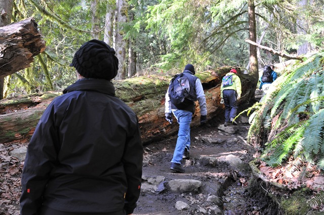 [DSC_3654[5].jpg]