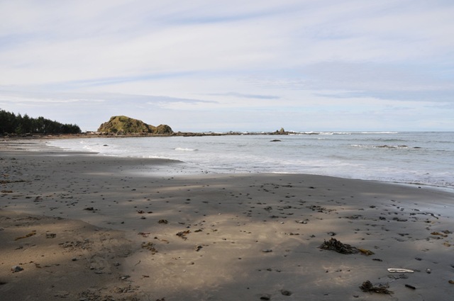 [DSC_43251.jpg]
