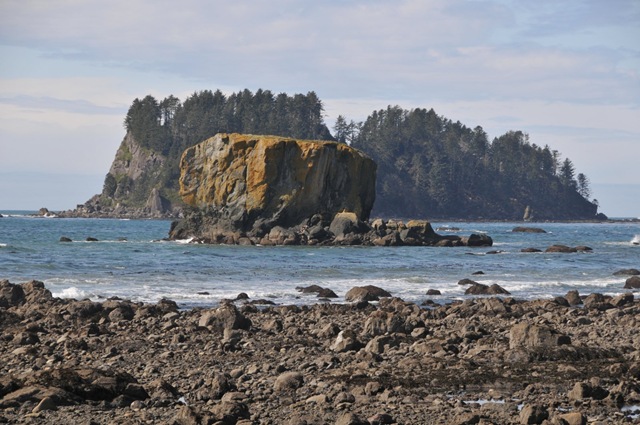 [DSC_45791.jpg]