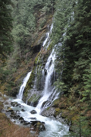 [DSC_4863[2].jpg]