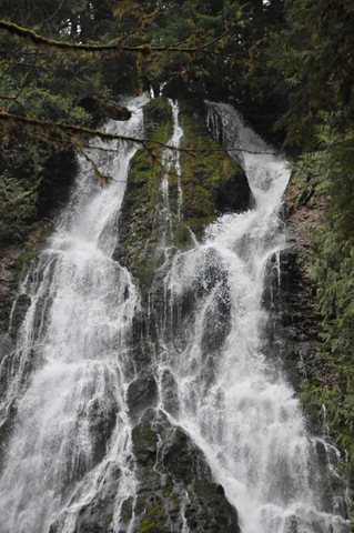 [DSC_4868[2].jpg]