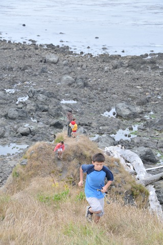 [DSC_8043[1].jpg]