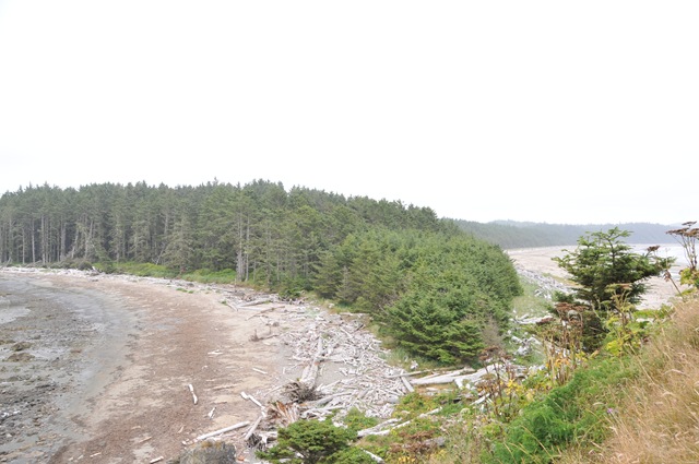 [DSC_8059[1].jpg]
