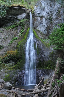 DSC_8192