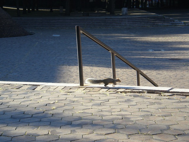 [P9150305[2].jpg]
