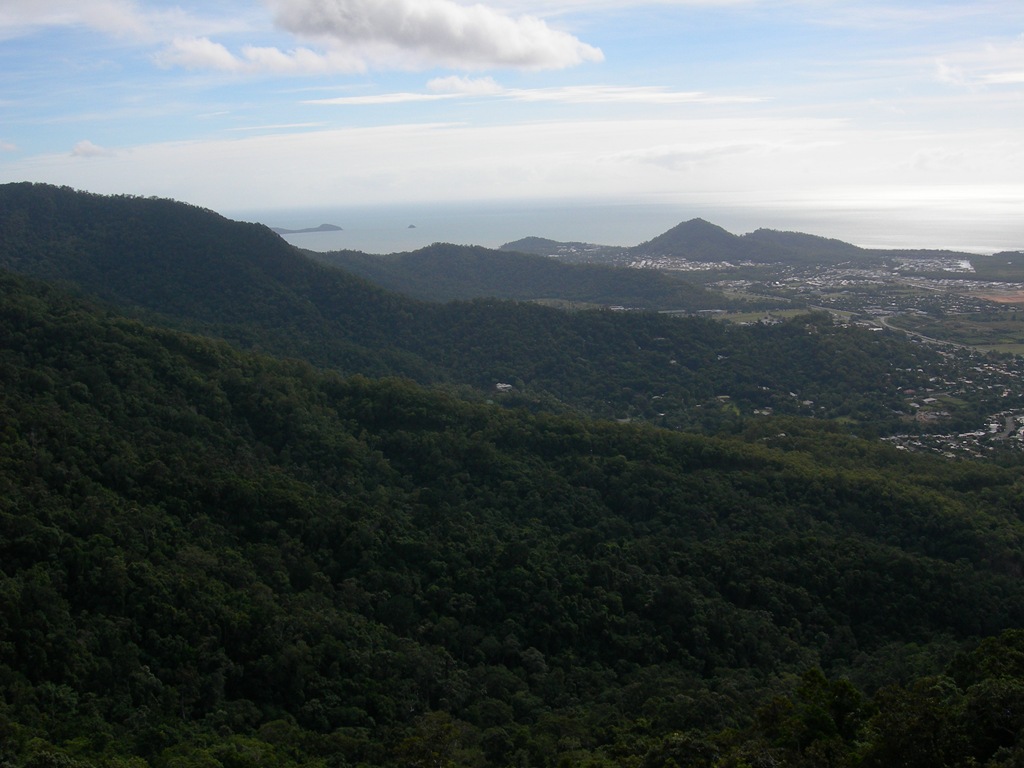 [Cairns 2010 028[4].jpg]