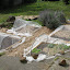 jasonga's Vegetable garden